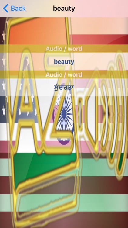 Punjabi Dictionary GoldEdition screenshot-4