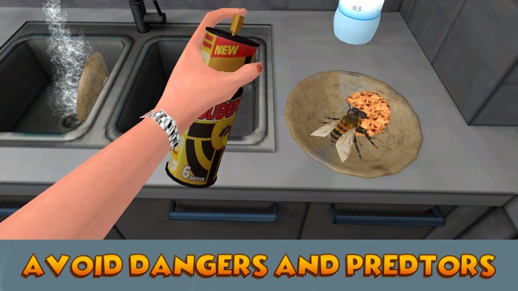 House Fly Insect Survival Simulator