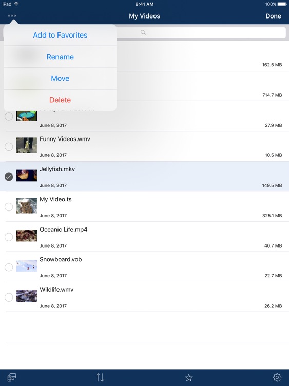 AVPlayer for iPad
