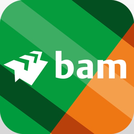 BAM VR icon