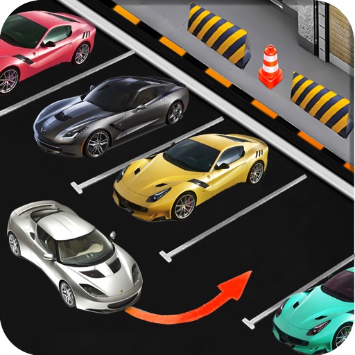 Real Car 3D Parking icon