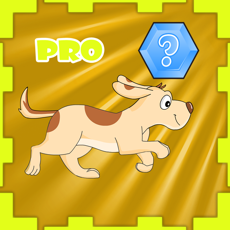 Activities of Matt Genius Pro