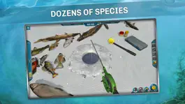 Game screenshot Ice Lakes hack