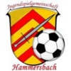 JSG Hammersbach