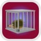 Hedgehog Rescue From Cage is a point and click escape game 