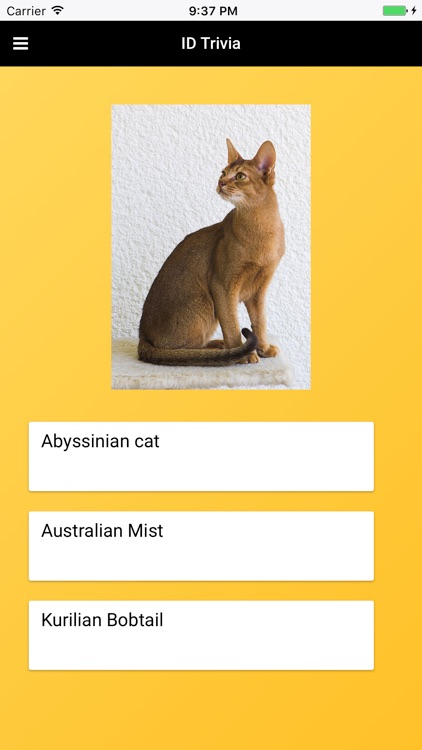 Cat Breeds: Types of Cat screenshot-3