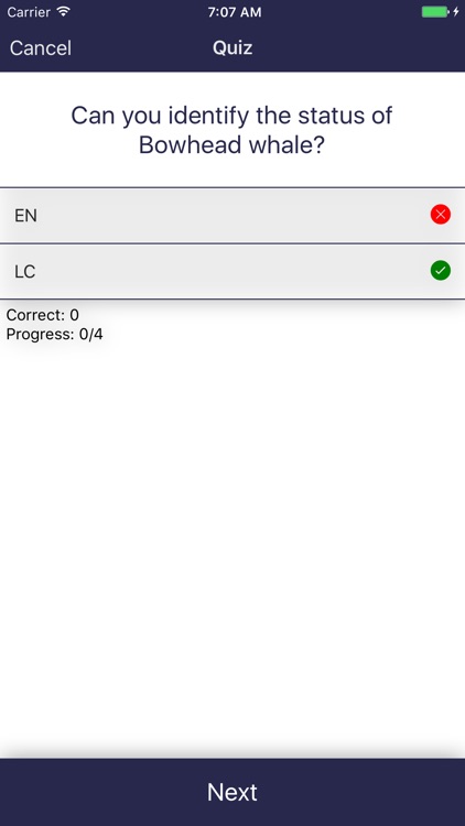 Whale Species: The Complete Compendium