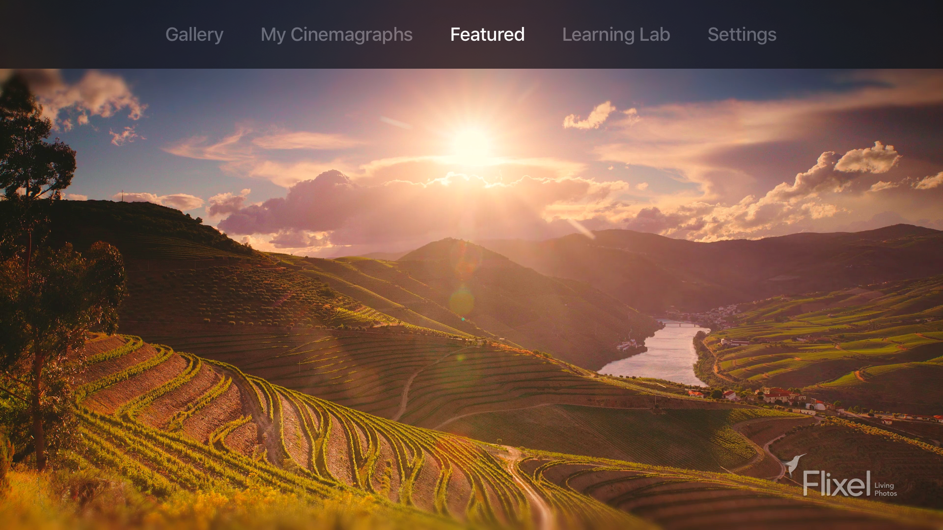 Flixel TV screenshot 5