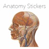 Anatomy Stickers app icon - Stickers app for iPhone