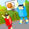 BasketBall Bouncy Physics 3D Cubic Block Party War delete, cancel