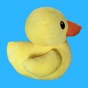 Kids Games - Flying Duck app download