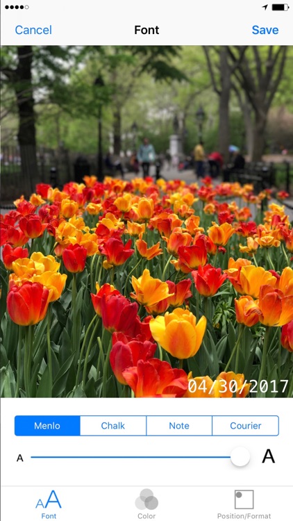 Timestamp Your Photo