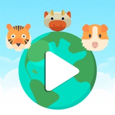 Activities of Animal Run Adventure