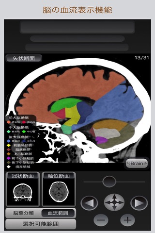 CT Passport Head screenshot 3