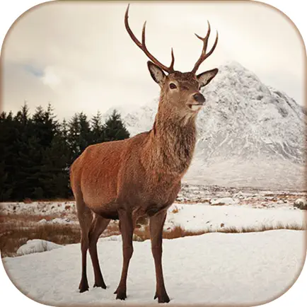Deer Calls & Sounds lite - Hunter Calls Cheats