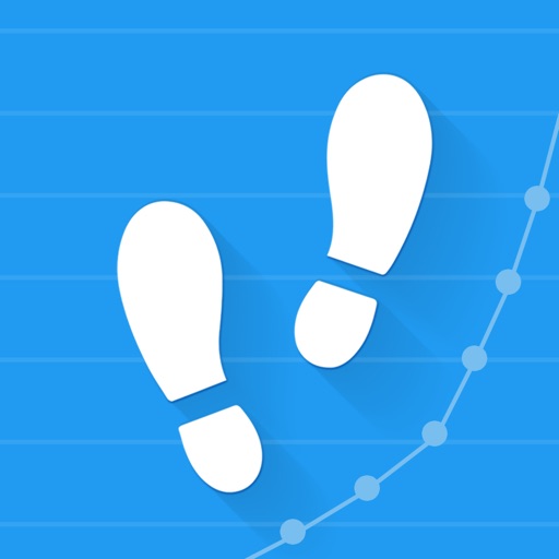 Pedometer - Perfect for walking and dieting