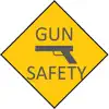 Gun Safety Test App Support