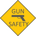 Download Gun Safety Test app