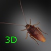 Roach3d