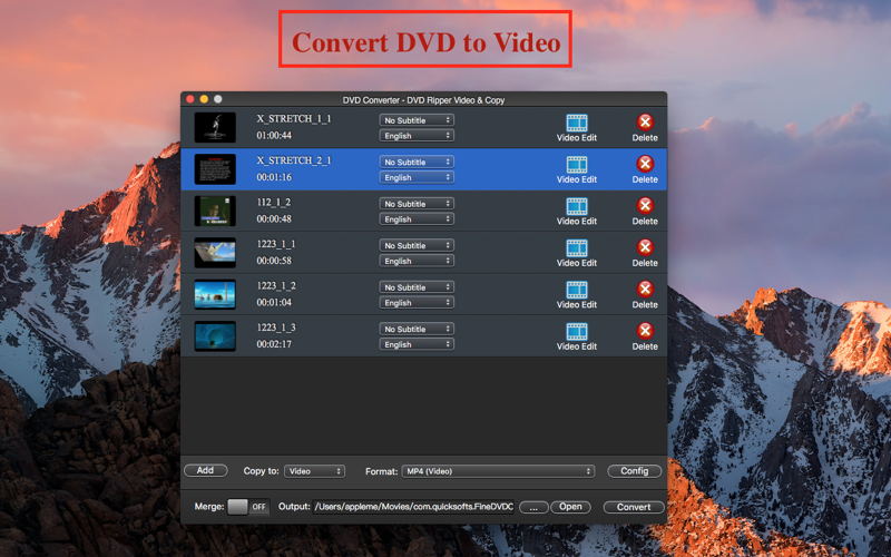 DVD Ripper Pro - Video ISO Lite Business Ipad Apple