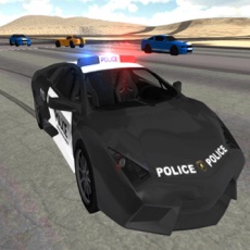 Activities of Police Car Driving Simulator