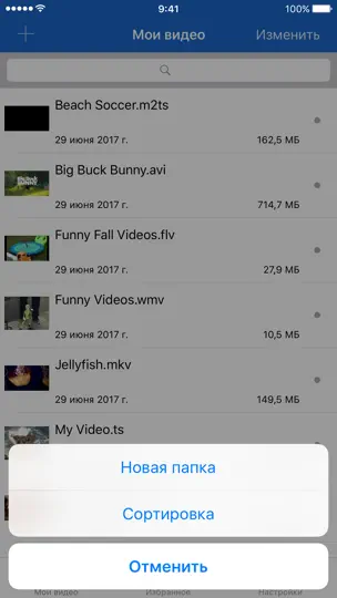 Скриншот Видео Загрузчик для IPhone на iPhone 1