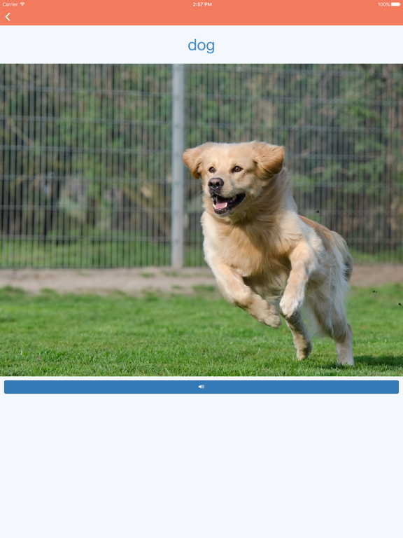 Learn the Animals Flash Cards Pro iPad screenshot