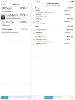 BizExpense iPad image 1