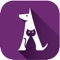 Dubai Municipality launches Aleef, a platform for current and prospective pet owners to better manage the roster of, adoption of and care of animals in Dubai