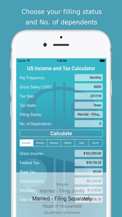 US Income and Tax Calculator screenshot-4