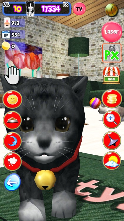 KittyZ, my virtual pet cat