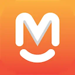 Visman app icon