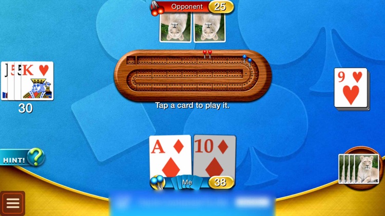 Cribbage - Family Crib & Peg Game screenshot-3