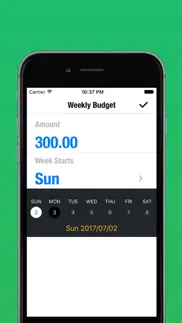 my weekly budget planner - money & expense tracker iphone screenshot 4