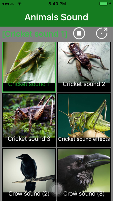 Screenshot #2 pour Animals Sound - Animal Sound Effects Free