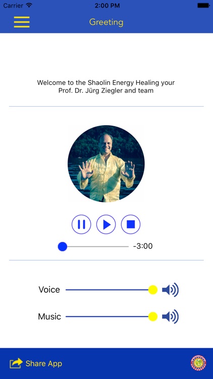 Shaolin Energy Healing ENGLISH screenshot-3