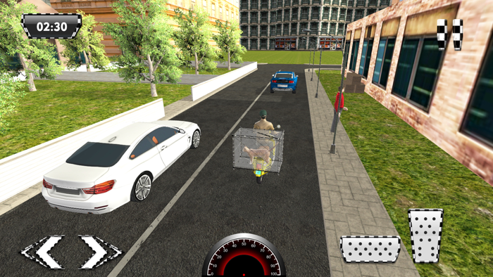 Pet Animal Transporter Bike and Delivery Boy Sim