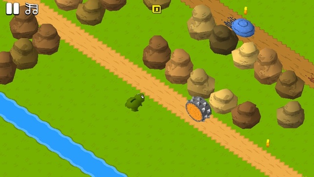 Frog Crossing Road