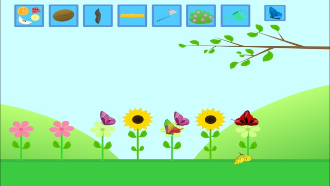 Butterfly Creator Plus
