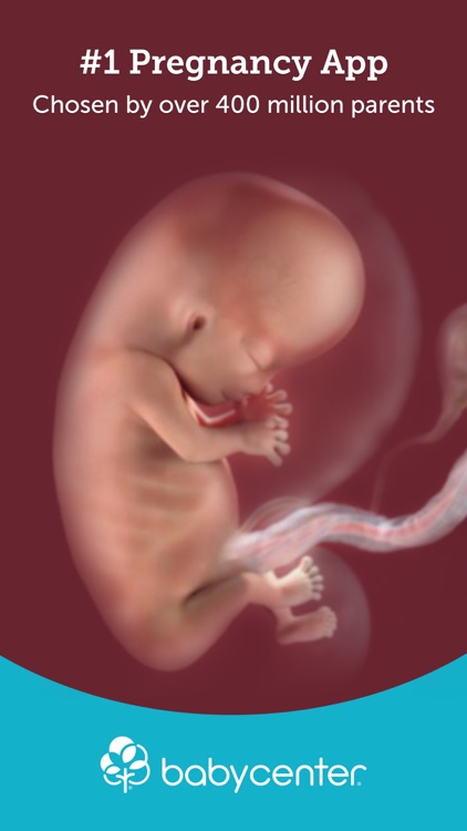 Pregnancy Tracker & Baby App