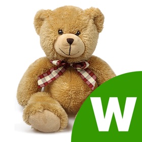 屏幕截图 (5) My First Words - Flashcards & Games