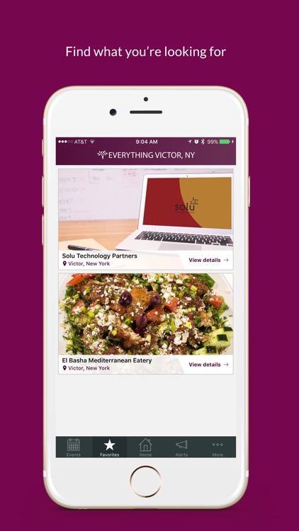 Everything Victor, NY