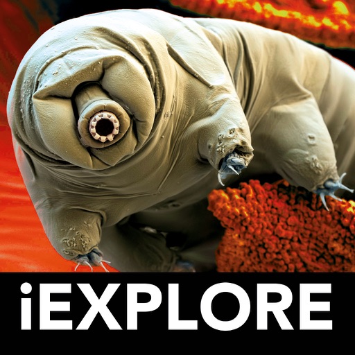 Micro Monsters iExplore Download