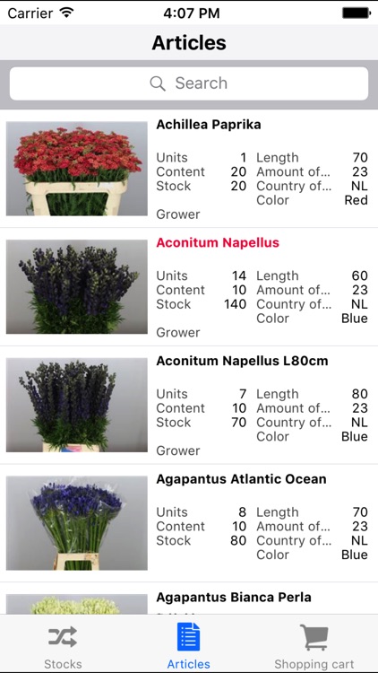 Flowervision Southam