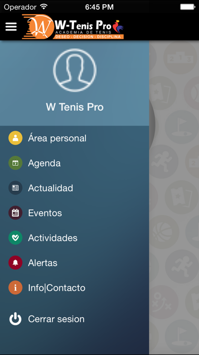 W Tenis Pro screenshot 2