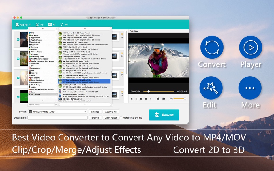 4Video Video Converter Pro - 5.3.33 - (macOS)