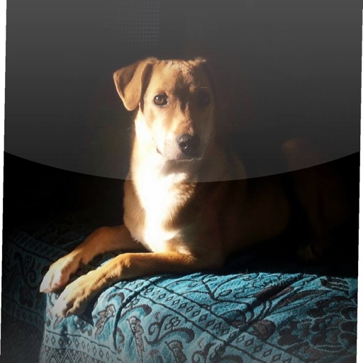 Prinz Eddie und sein Gefolge