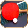 Table Tennis Ping Pong Game