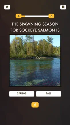 Fly Fishing Quiz iPhone image 4