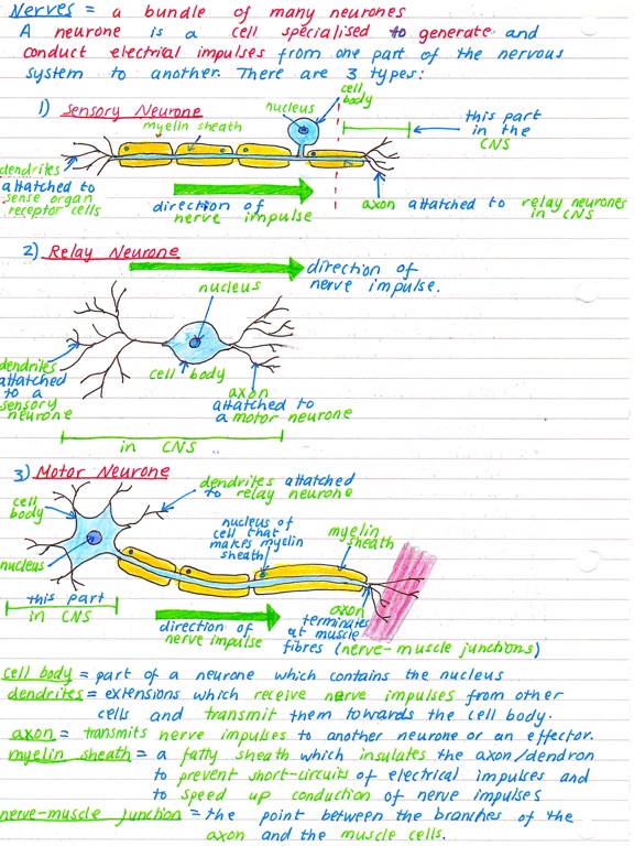 Pocket Notes - GCSE Science iPad screenshot 5 - Education app